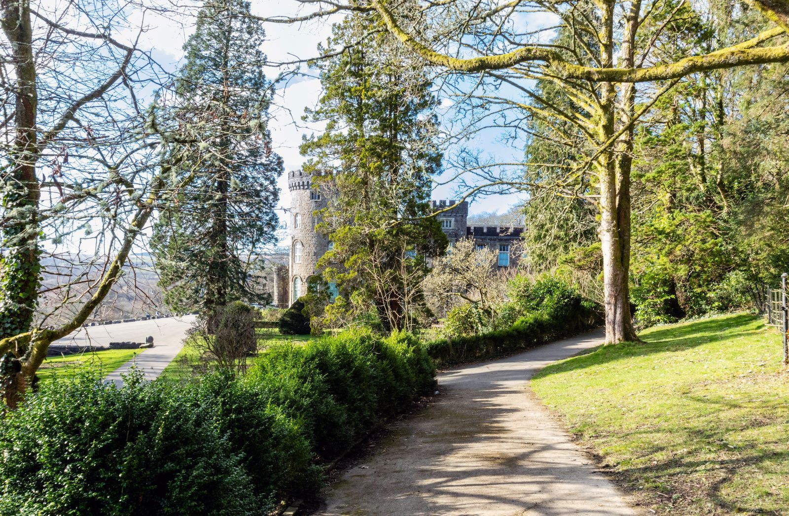 Trees and bushes obscuring the view of Cyfarthfa Castle in the background.jpg